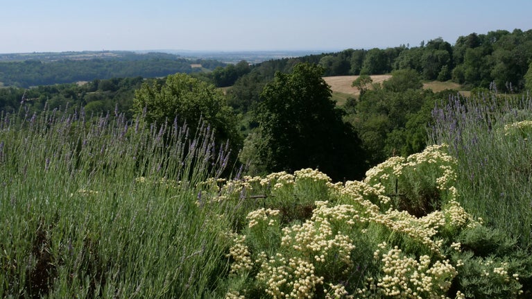 View from the top garden at Newark Park across the Ozleworth valley
